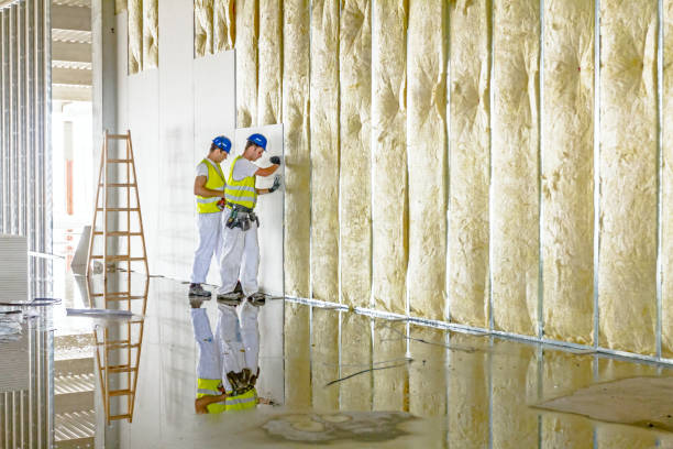 Insulation Replacement Services in Neodesha, KS